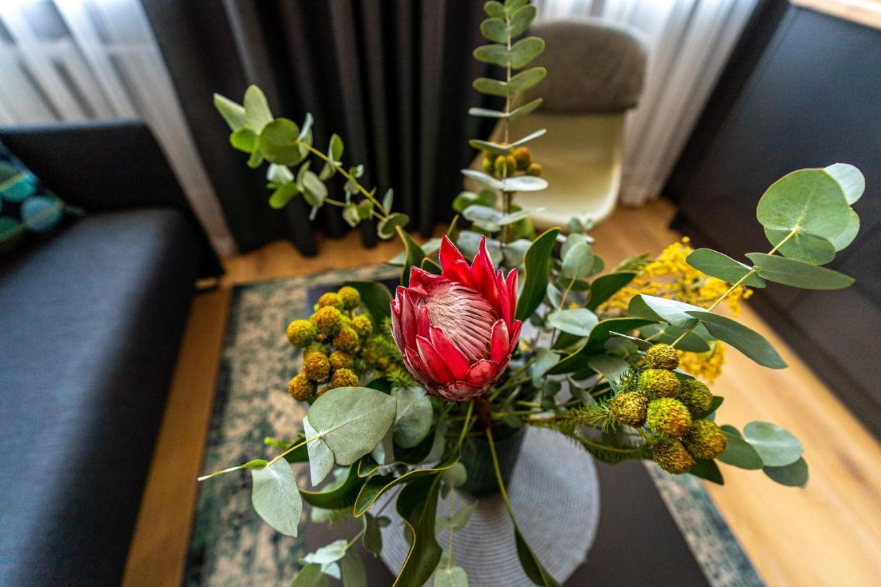 Beautiful Apartment In The Heart Of Kaunas Luaran gambar